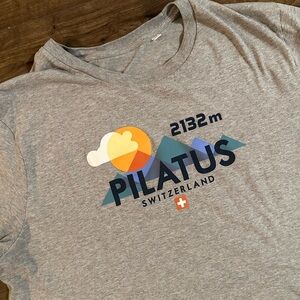Pilatus Gray Graphic Men's Tee